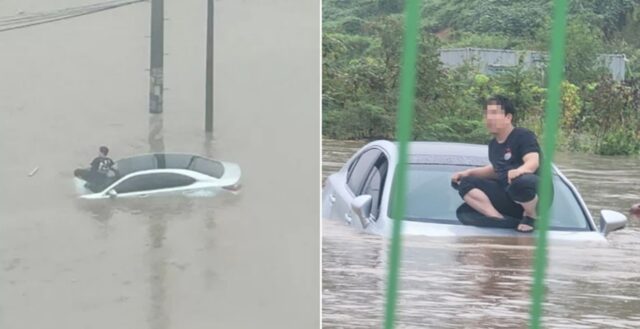 갑자기 불어난 비에 고립돼 차 위로 대피… ‘김해 제네시스좌’로 확산된 남성의 근황