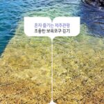 혼자 즐기는 제주관광 조용한 보목포구 걷기