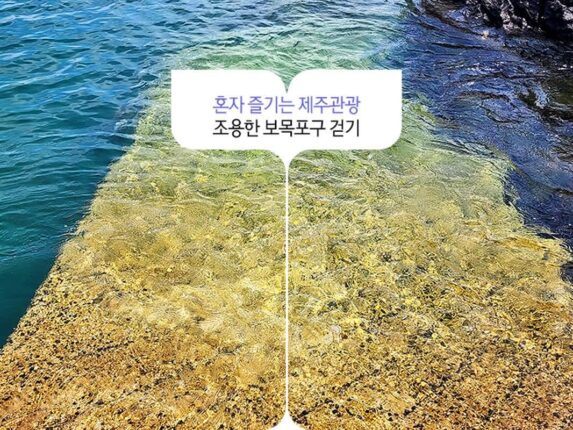 혼자 즐기는 제주관광 조용한 보목포구 걷기