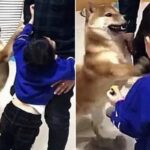 아빠한테 안아달라고 떼쓰는 어린 아들 지켜보던 강아지가 잠시후 보인 반전 행동