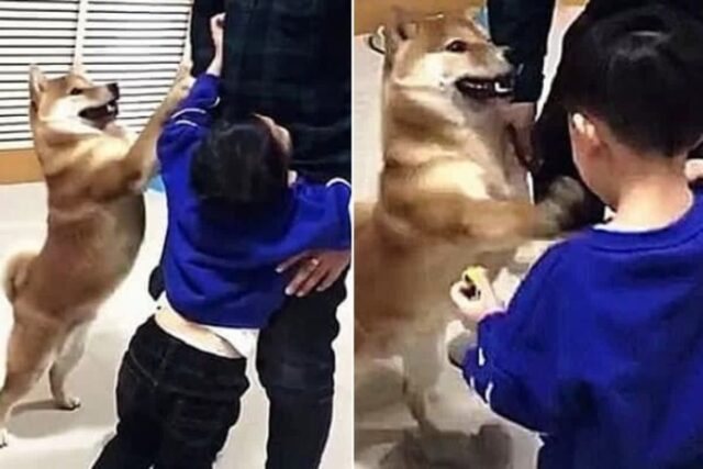 아빠한테 안아달라고 떼쓰는 어린 아들 지켜보던 강아지가 잠시후 보인 반전 행동