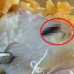 유명 프렌차이즈 치킨서 바퀴벌레 나와… “업주는 사과 없이 블랙컨슈머 취급”