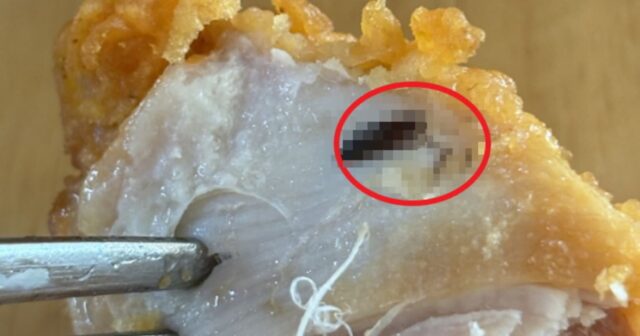 유명 프렌차이즈 치킨서 바퀴벌레 나와… “업주는 사과 없이 블랙컨슈머 취급”