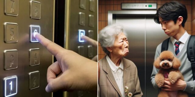 엘베에 강아지 안고 탔는데 ‘내리라’는 이웃… “짖지 않아도 무섭다네요”
