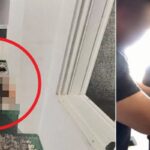동거녀 살해 후 ‘시멘트’로 시신 은닉한 50대 男, 16년 만에 범죄 발각