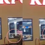 KFC 매장 들어왔다가 출입문 앞에서 탈출하지 못한 야생동물..’자동문 어려워!’