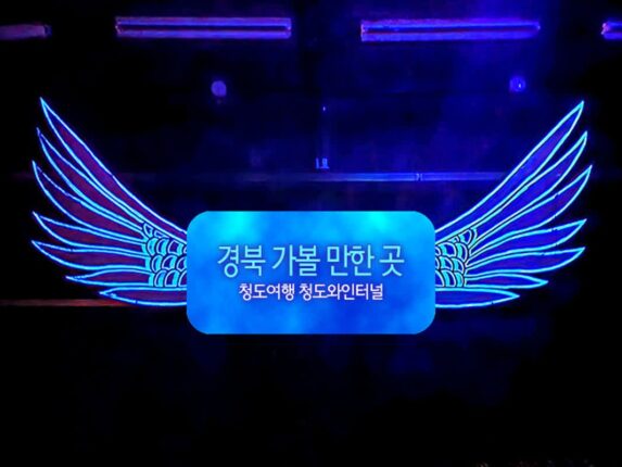 경북 가볼 만한 곳 청도여행 청도와인터널