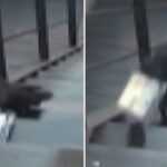 “뭐야 내 택배 어디갔어?”… 강남 한복판서 발생한 택배 절도(?) 사건의 전말
