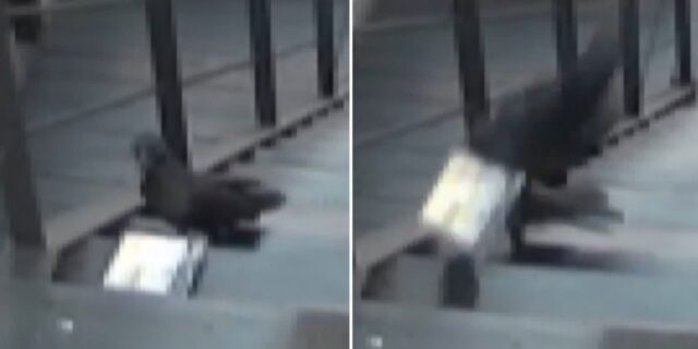 “뭐야 내 택배 어디갔어?”… 강남 한복판서 발생한 택배 절도(?) 사건의 전말