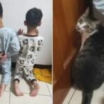 동생하고 싸웠다가 엄마한테 혼나 벌서는 형제 보자 고양이가 보인 반응