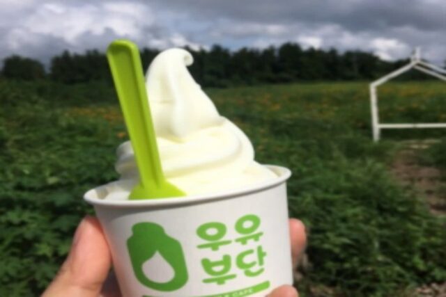 멋진 뷰, 맛있는 디저트와 함께하는 제주도 카페 BEST5