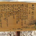 휴대폰 속 사진 따라 떠나는 여행 일기