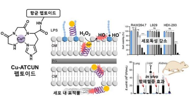 GIST, 활성산소 활용 차세대 항생제 개발…”차새대 항생제 개발에 새 가능성 열어”