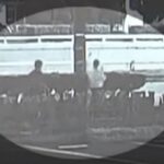 새벽, 여고생 뒤를 바짝 쫓더니… 순천 ‘묻지마 살인 사건’ CCTV 속 충격 만행