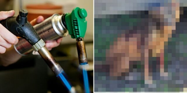 토치로 ‘전신화상’ 입은 유기견, 구조 하루만에 숨져… “유사한 학대로 이미 사망한 강아지 발견”