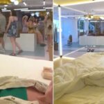 “로비에 있는 ‘투명 객실’에서 자면 숙박비 40만원 무료… 도전하시겠습니까?