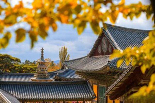 ‘경주 1박 2일 여행 코스’ 한국의 전통미와 체험이 가득한 경주 가볼 만한 곳 추천