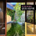 포항 구룡포 카페 카멜리아 갈만한 포항카페