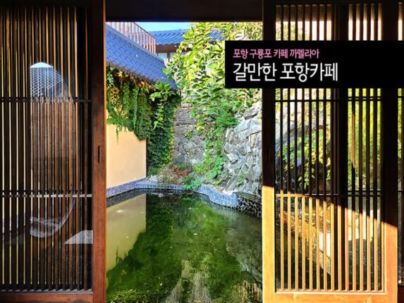 포항 구룡포 카페 카멜리아 갈만한 포항카페