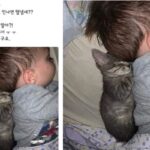 “이 사진때문에 미치겠음”…아기 등에 살포시 기대 잠든 아깽이 사진이 난리난 이유