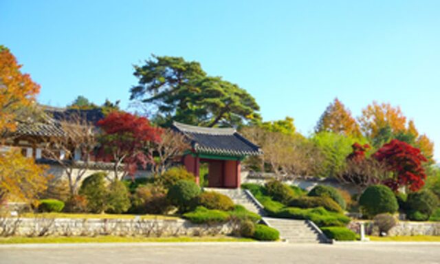 ‘강릉 당일치기’ 자연과 문화, 역사를 함께 즐기는 강릉 가볼 만한 곳 추천