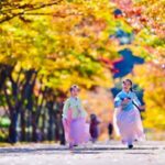 “사진 작가도 보고 놀란 가을 명소” 마음을 힐링시켜 줄 국내 단풍 명소 TOP8 추천