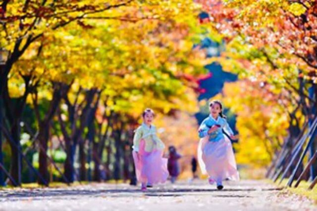 “사진 작가도 보고 놀란 가을 명소” 마음을 힐링시켜 줄 국내 단풍 명소 TOP8 추천