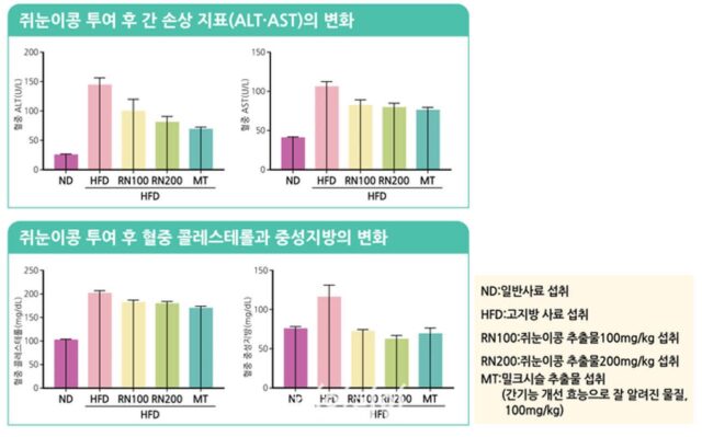 쥐눈이콩 비알코올성 지방간 개선…ALT 혈중농도 40% 감소