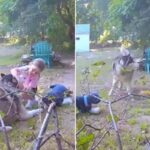 인형 가지고 와서 이웃집 허스키 강아지랑 바꿔치기한 7살 소녀의 귀여운 납치극