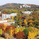 [여행+秋캉스] 절정의 이 단풍, 이대로 보낼 수 없다면 ‘여기’