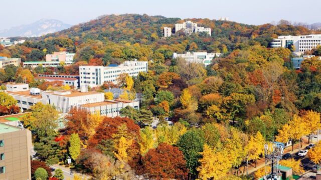 [여행+秋캉스] 절정의 이 단풍, 이대로 보낼 수 없다면 ‘여기’