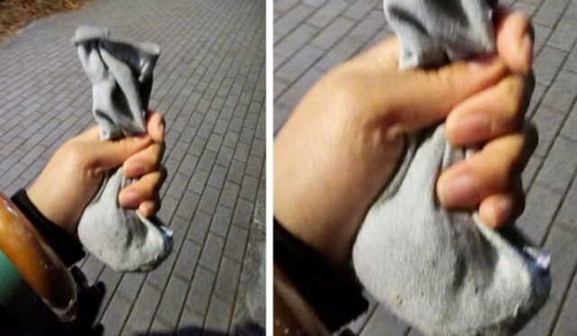 강아지 산책 중 응가하자 미처 배변 봉투 챙기지 못했던 견주가 선택한 충격적인 방법