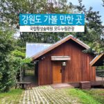 강원도 가볼 만한 곳 국립횡성숲체원 모두누림관광