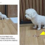 ‘배달의 민족’ 사장님들도 폭풍 공감해 극찬한다는 맛없는 족발집에 ‘솔직한 리뷰 방법’