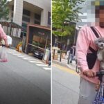 “동물학대 아니냐”… 가슴에 강아지 매달고 킥보드 운전하는 남성 (사진)