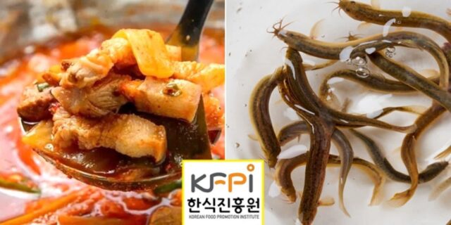 “김치찌개에 미꾸라지 넣어라” 예산 100억 쏟아부은 한식진흥원… 자료는 오류투성이