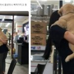 아무거나 주워먹었다가 주인한테 혼나 기죽어있자 강아지 불쌍해 위로해주는 동생