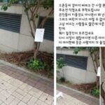 강아지 버려놓고 공개 분양 한거라며 어이없는 변명하는 ‘어느 견주의 이상한 논리’