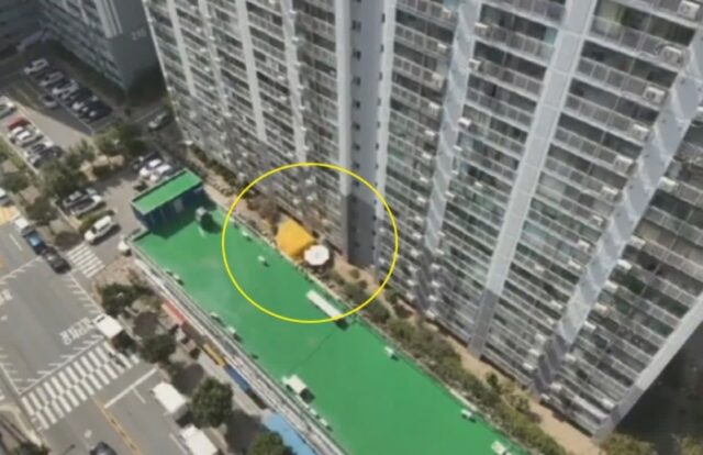 23층 아파트 옥상서 떨어진 10대 여성… ‘이것’ 덕분에 살았다