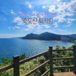 해파랑길 21코스 영덕블루로드 B코스 죽도산 퇴적암