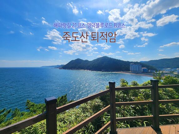 해파랑길 21코스 영덕블루로드 B코스 죽도산 퇴적암