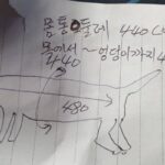 강아지 옷 살려고 아빠한테 몸 치수 좀 재달라고 했다가 잠시후 카톡 보고 심쿵한 이유