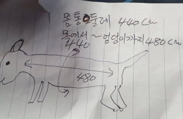 강아지 옷 살려고 아빠한테 몸 치수 좀 재달라고 했다가 잠시후 카톡 보고 심쿵한 이유
