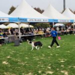 안산시, ‘2024 안산 펫 페스티벌’ 오는 5일 와스타디움서 개최