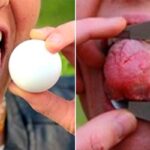 “키스는 어떻게 하나요?” 질문 쏟아지게 만든 세계에서 혀 가장 두꺼운 여성… ‘혀 둘레 13.8cm’