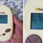 “서열 정리 들어가나??”…호기심에 강아지 번역기 샀다가 알게된 충격적인 리얼 후기