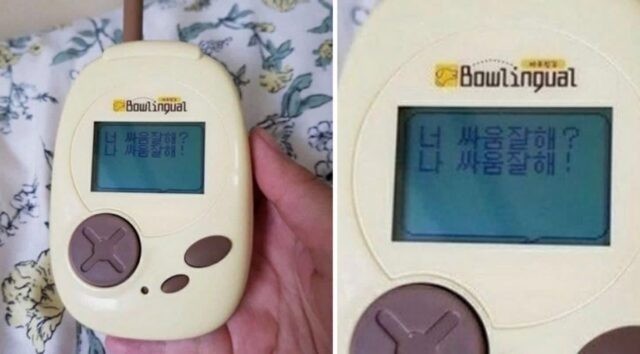 “서열 정리 들어가나??”…호기심에 강아지 번역기 샀다가 알게된 충격적인 리얼 후기