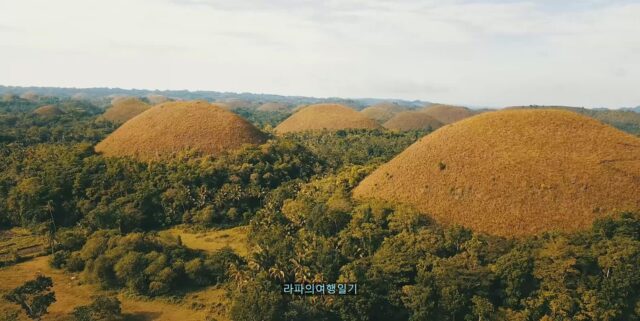 보홀 육상투어, 환상적인 초콜렛힐 여행 반딧불투어 공항픽업 까지
