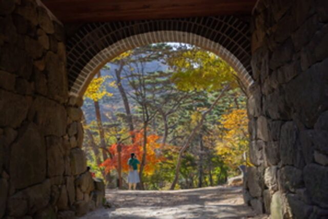 “가을 인생샷은 이곳 추천” 언제 가도 좋은 인천 단풍 구경 BEST 5