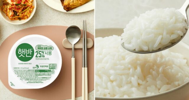 익숙한 ‘빨간 햇반’ 대신 ‘초록 햇반’ 내놓은 CJ제일제당… 뜻깊은 이유 있었다